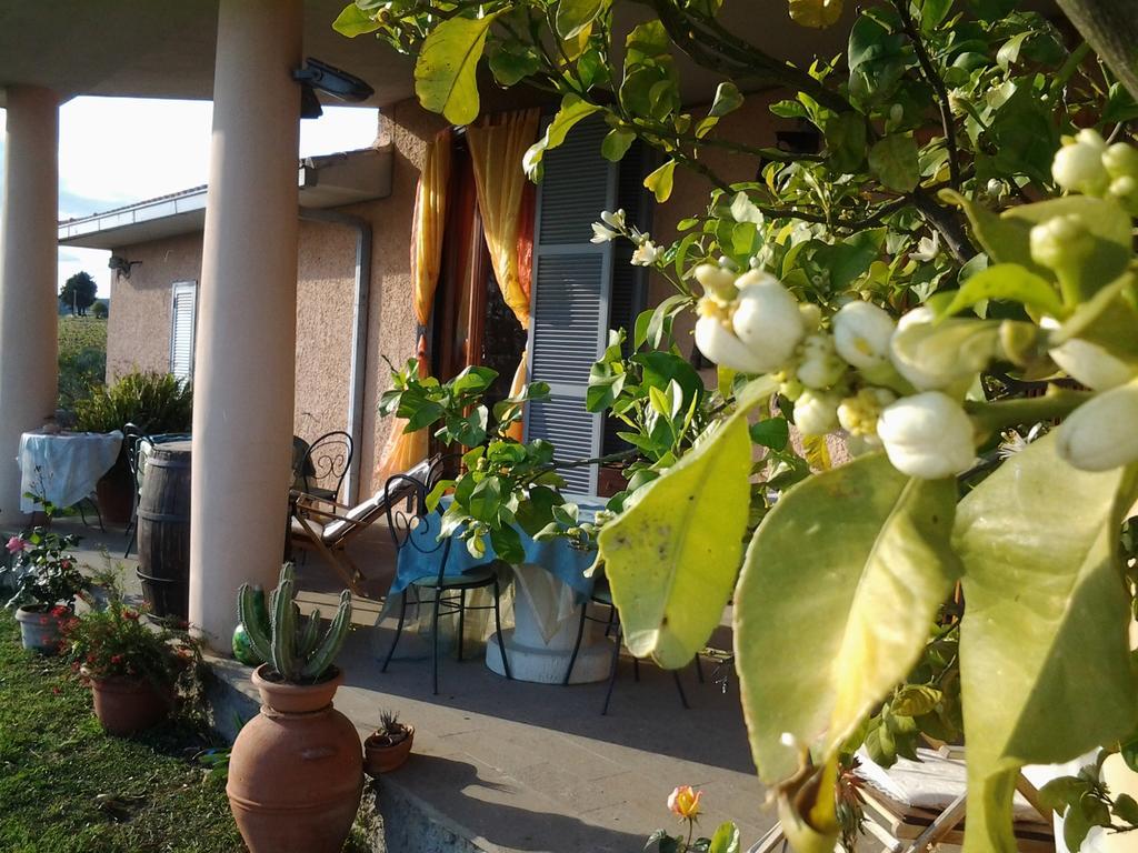 Guest House Villa Di Judighes Черветери Екстериор снимка