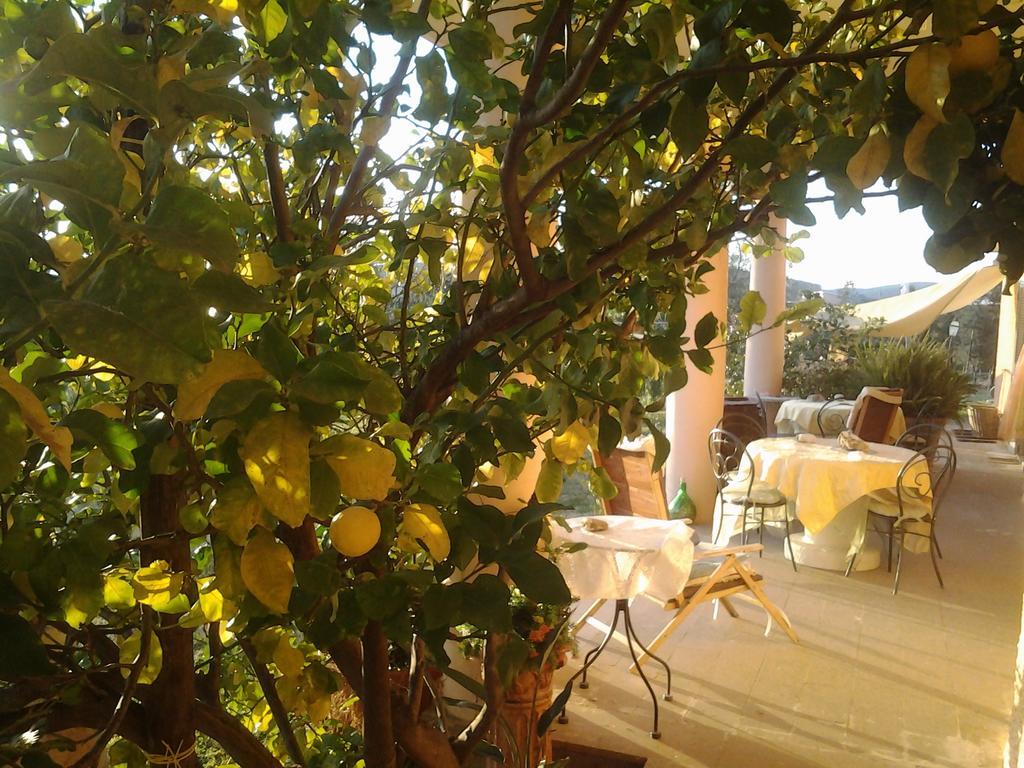 Guest House Villa Di Judighes Черветери Екстериор снимка
