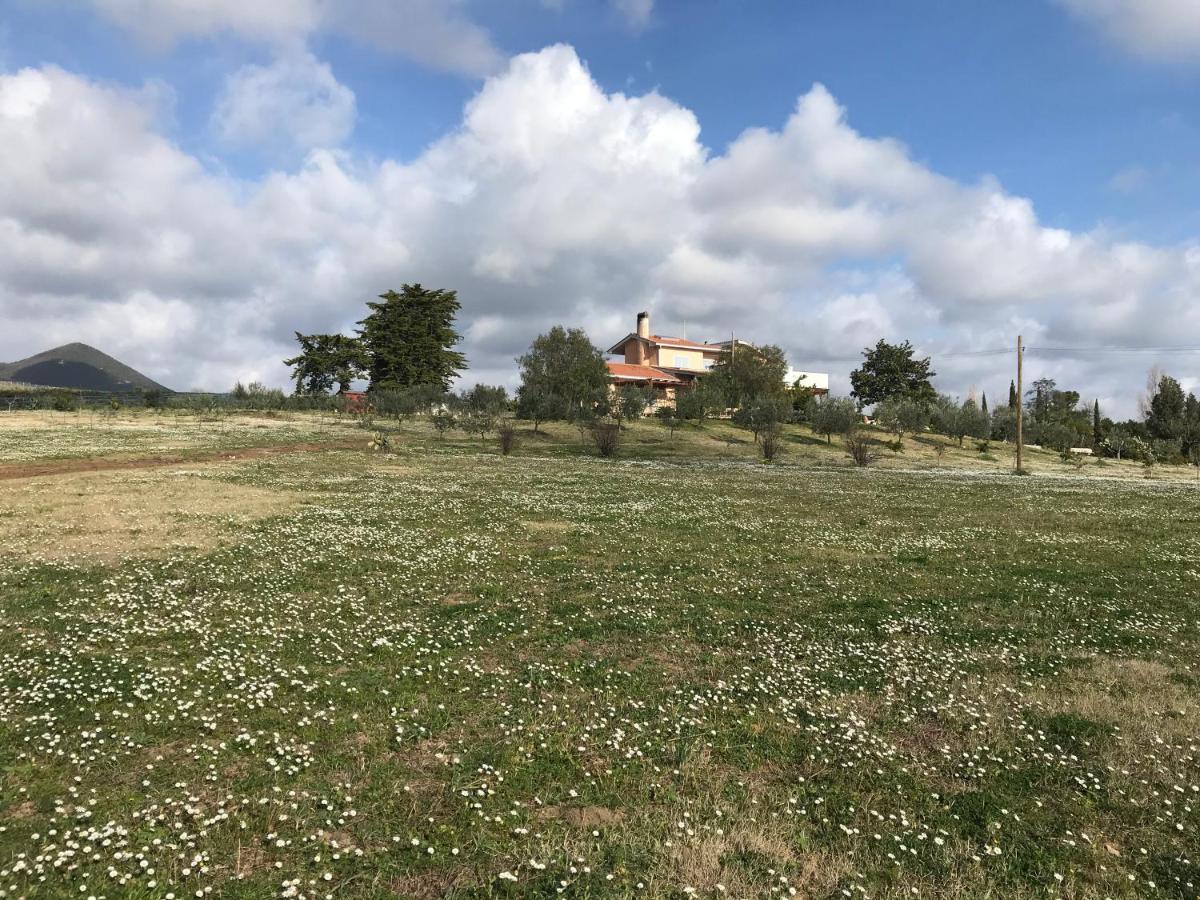Guest House Villa Di Judighes Черветери Екстериор снимка